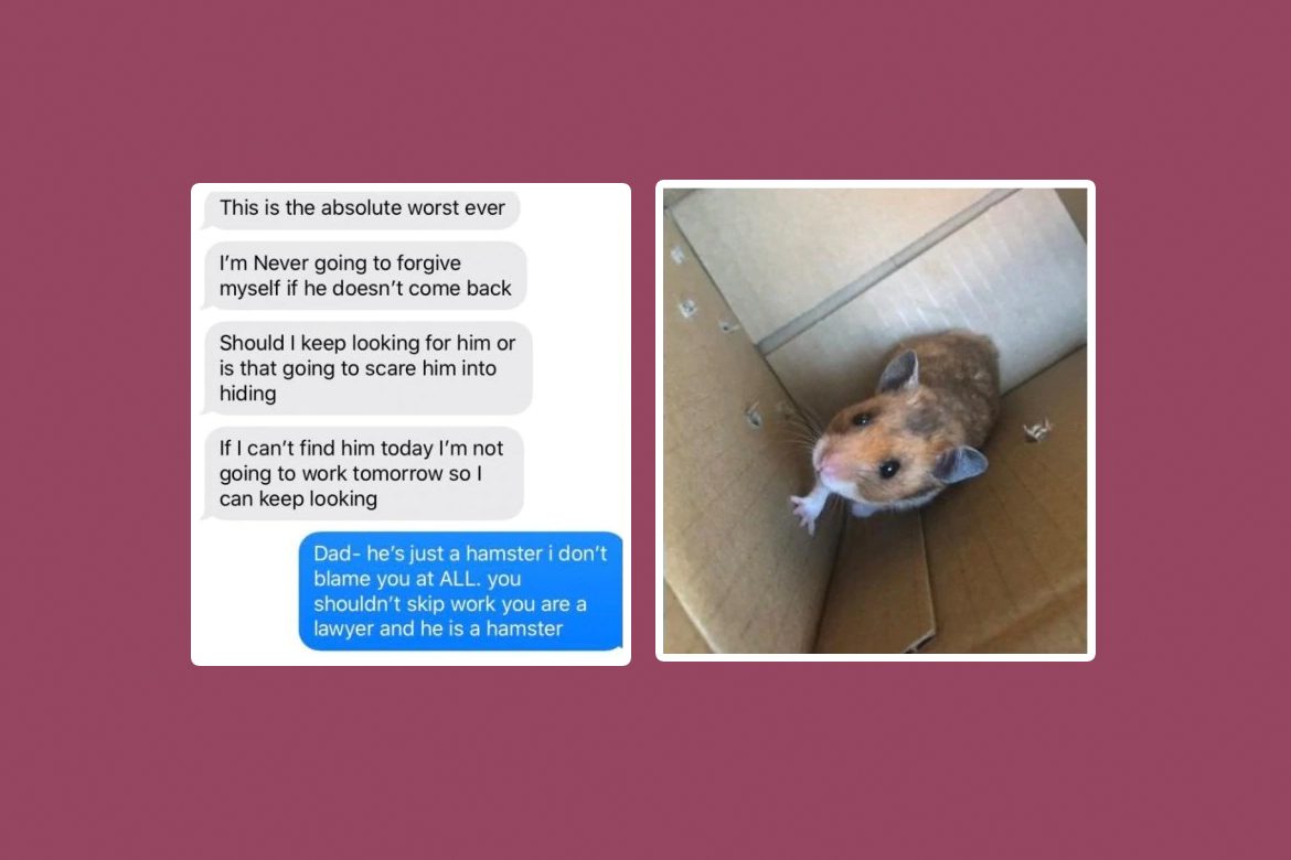 Man Loses Daughter S Pet Hamster She Posts Screenshots Of Their Chat Trending News